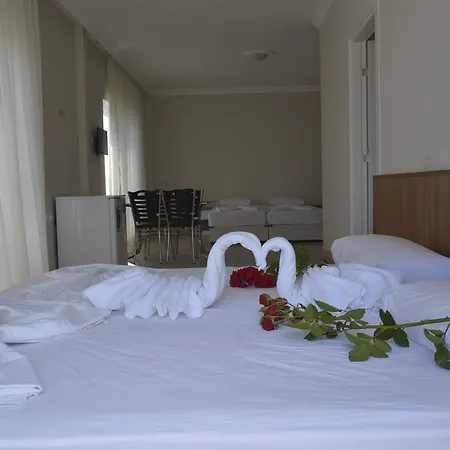 Palace - Halal シダ