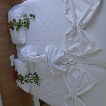 Palace - Halal Сиде