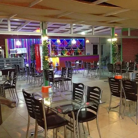 Palace - Halal シダ