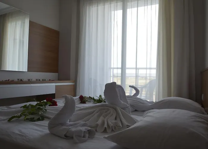 Palace - Halal 锡德