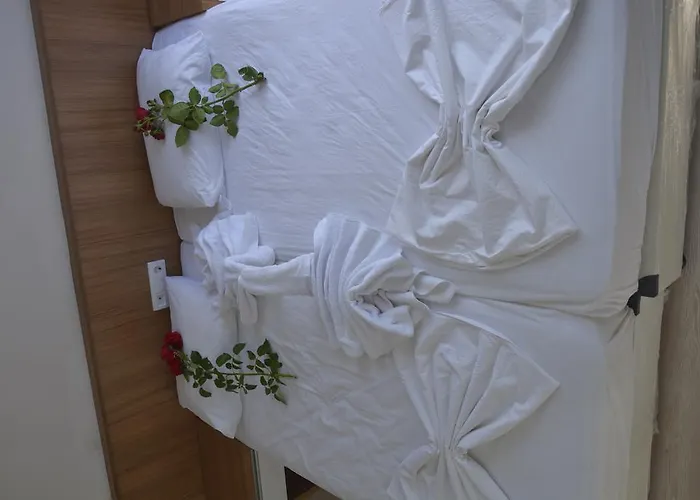 Palace - Halal 锡德