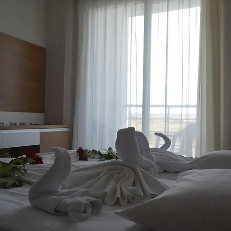 Palace - Halal Sidé