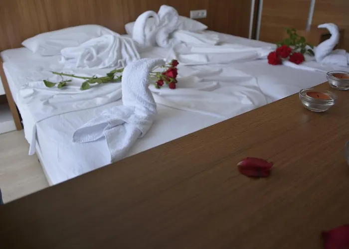 Hotel Palace - Halal *